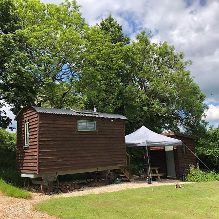 The Shepherds Hut At The Shippen, Tiphayes Honiton Ngoại thất bức ảnh